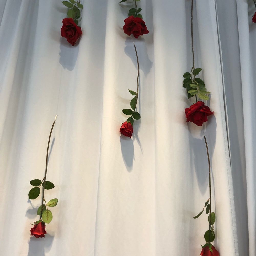 🌹Welcome to My Closet!!!